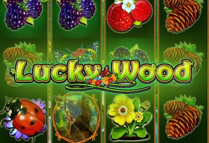 Fast Rich11 Casino Login Registration account creation.