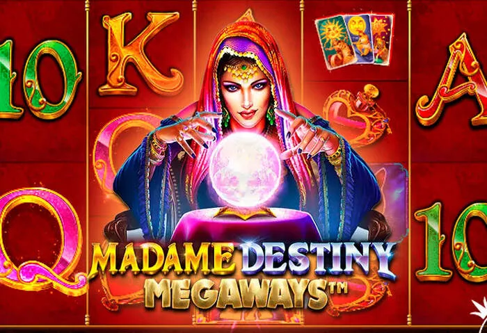 Official Rich11 Casino mobile app for seamless on-the-go gaming