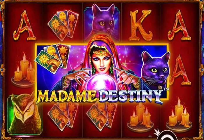 Unlock big wins with Rich11 Casino Bonuses and Promo Codes.
