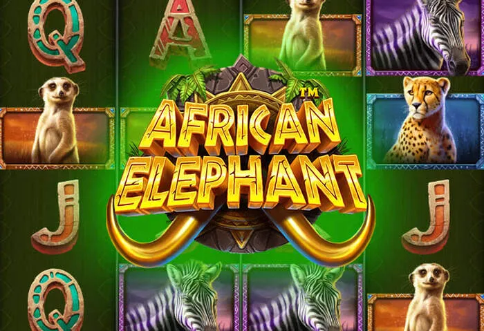 Ihr Rich11 Casino Mobile App Login sicher und schnell.
