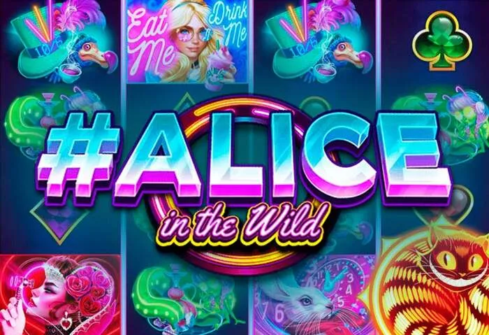 Access Rich11 Casino's full suite of games via its dedicated mobile app