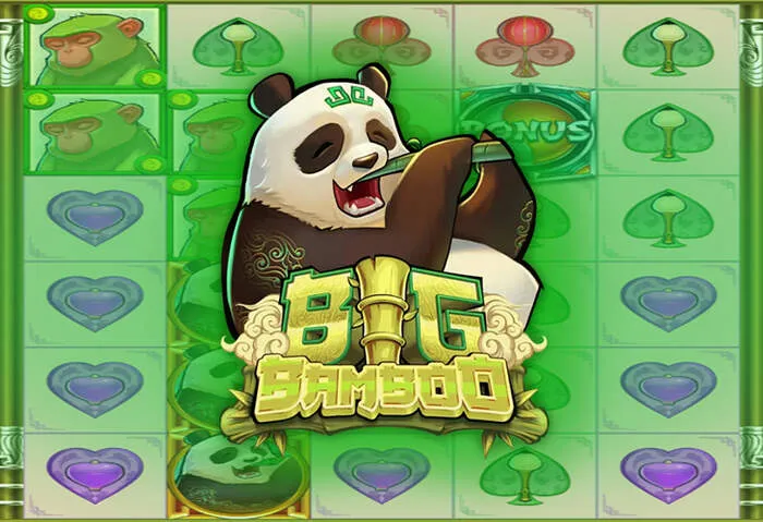 Secure Rich11 Casino banking options including e-wallets and cryptocurrency.