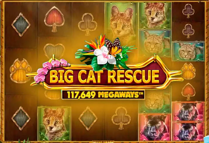 Игрок наслаждается слотами Rich11 через мобильное приложение