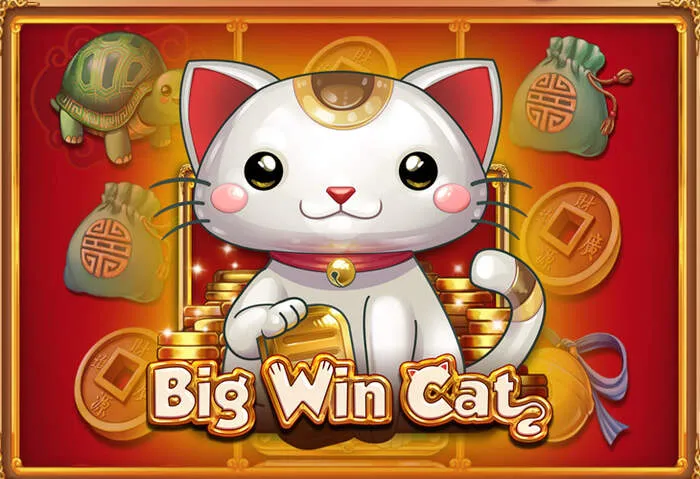 Rich11 Slots এ জ্যাকপট জেতার উত্তেজনাপূর্ণ মুহূর্ত।