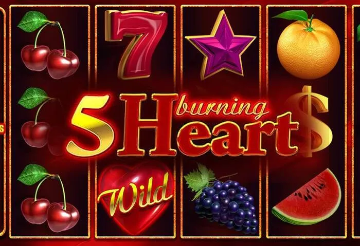 Lisanslı Rich11 Casino güvenli oyun platformu.