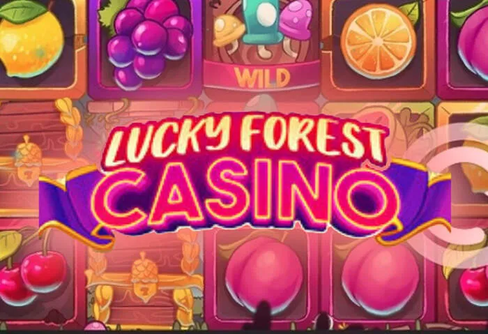 Guia completo de métodos de pagamento para o Rich11 Casino.